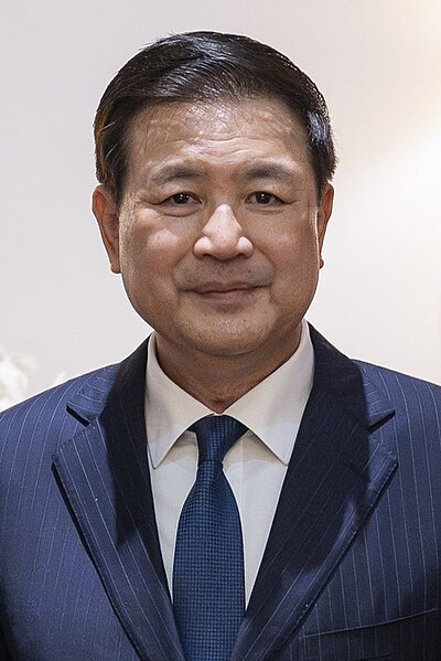 File:Wang Xiaohong (cropped).jpg