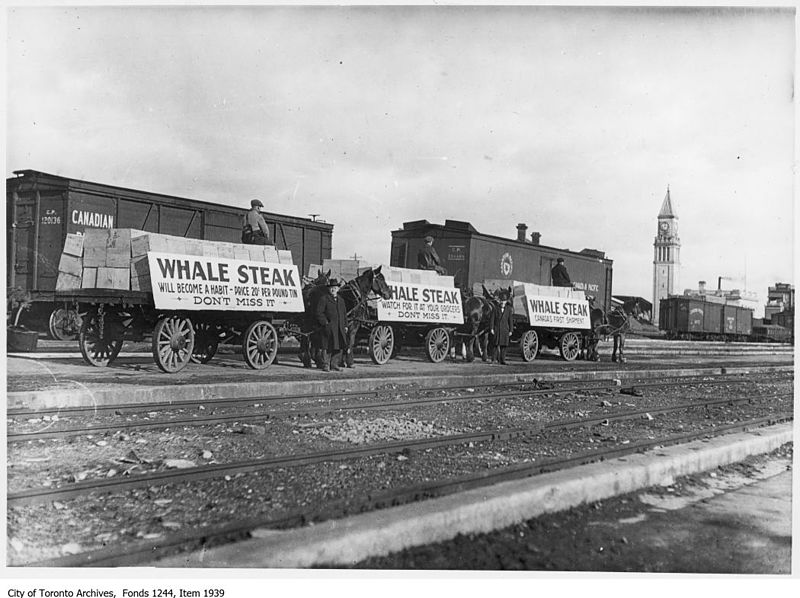 File:Whale steak shipment North Toronto station.jpg