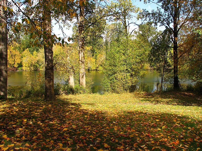 File:Willamette view - Molalla River SP Oregon.jpg