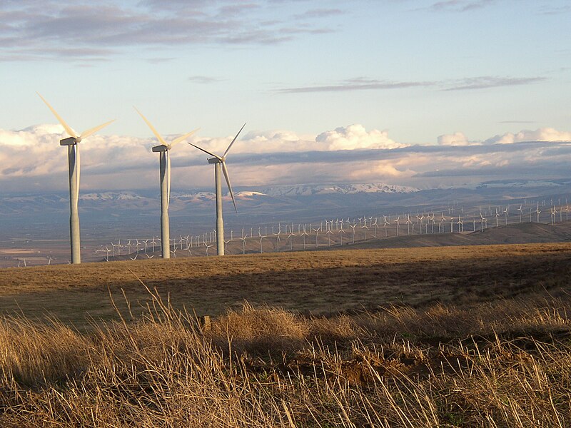 File:WindTurbinesBlueMountains.JPG