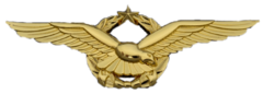 Wing Penerbang Kelas I TNI AU.png