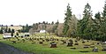 Woodbine Cemetery – Green Mountain Cemetery Rainier vicinity