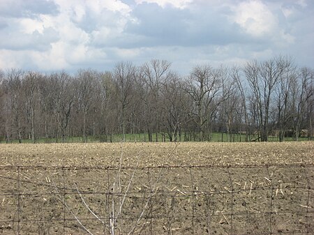 Woods with Keiter Mound