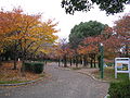 八幡屋公園