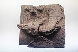 Zigong Dinozor Müzesi Sichuanosuchus.jpg