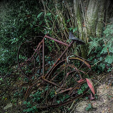 Épave de vélo dans la forêt de Séglien - Morbihan - France