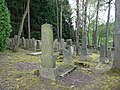 Čeština: Židovský hřbitov v Horní Cerekvi, okres Pelhřimov. English: Jewish cemetery in the town of Horní Cerekev, Pelhřimov District, Vysočina Region, Czech Republic. This is a photo of a cultural monument of the Czech Republic, number: 36832/3-3009. Památkový katalog  · MIS  · hledat obrázky  · hledat seznamy  · Wikidata