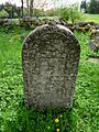 Čeština: Náhrobky na židovském hřbitově u vsi Olšany v okrese Jindřichův Hradec, Jihočeský kraj. English: Gravestones in the Jewish cemetery by the village of Olšany, Jindřichův Hradec District, South Bohemian Region, Czech Republic.