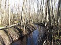 Stream in Priory Park