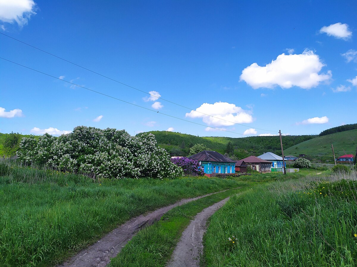 Село вишневое. Село Вишневое Волгоградской области. Село Вишневое Запорожская область. Луганская обл село Вишневое.