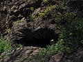 Сланцеві скелі (Деконський кут) - печера 20.JPG