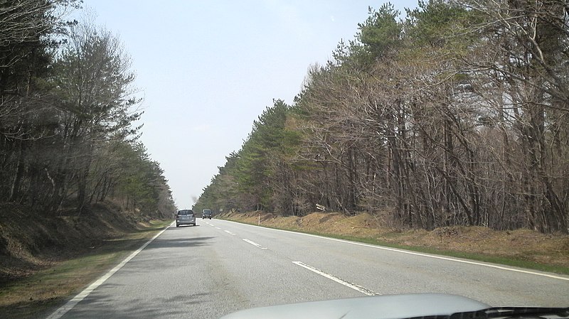 File:鬼押ハイウェイ - panoramio.jpg