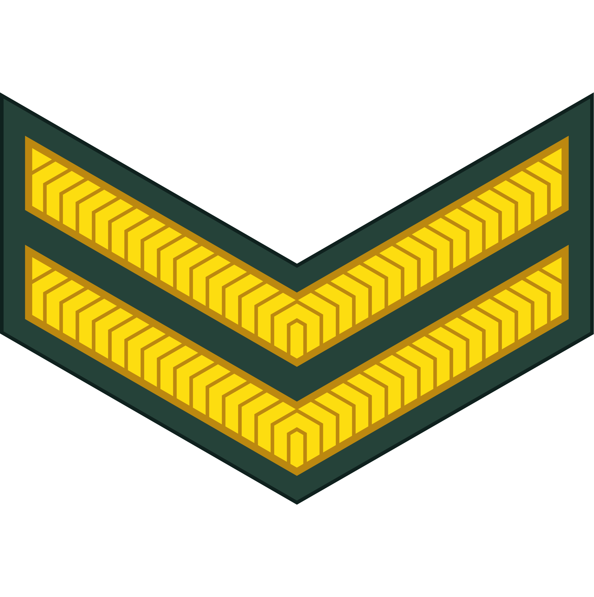 2036px-02-Tanzania_Army-CPL.svg.png