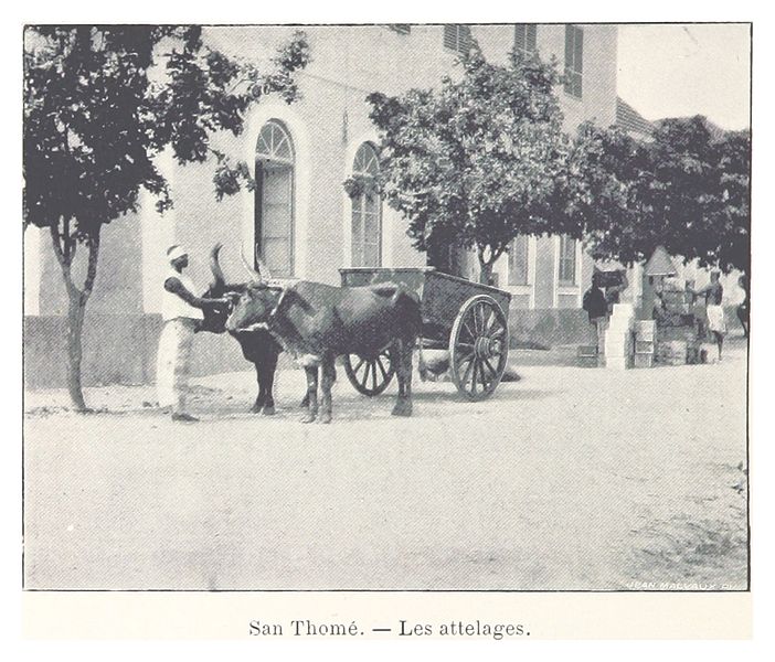 File:080 San Thomé. - Les attelages.jpg