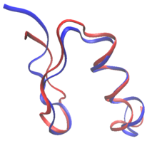 FSD-1 (shown in blue, PDB id: 1FSV) was the first de novo computational design of a full protein. The target fold was that of the zinc finger in residues 33-60 of the structure of protein Zif268 (shown in red, PDB id: 1ZAA). The designed sequence had very little sequence identity with any known protein sequence. 1FSVblue-1ZAAred.png