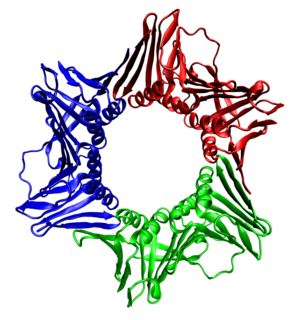 Protein trimer complex of three proteins