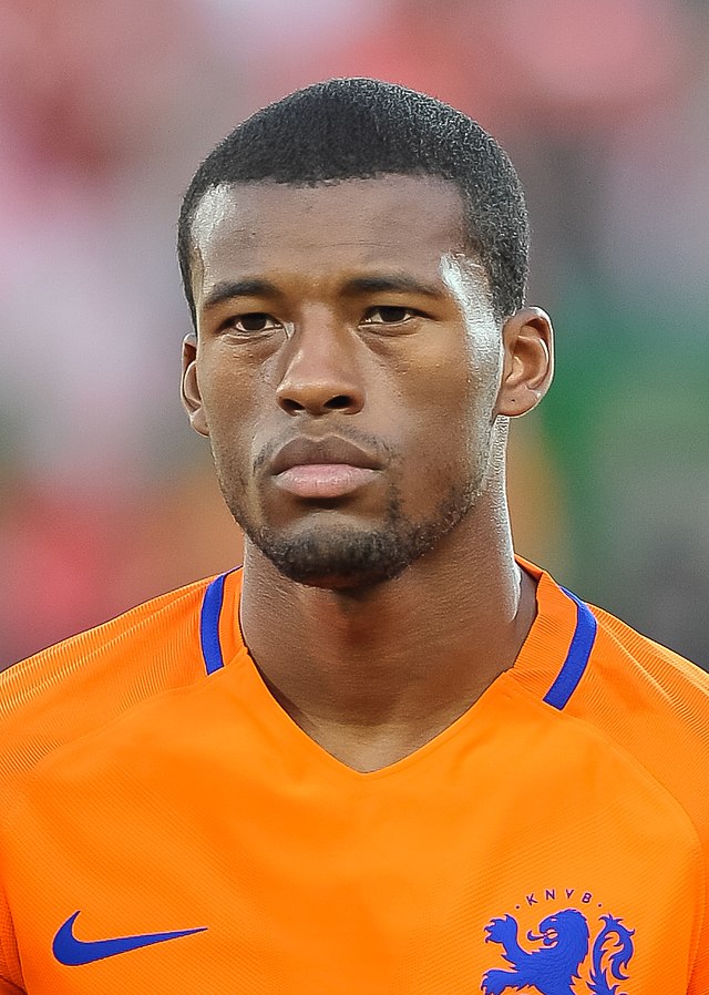 Maillot gardien Georginio Wijnaldum