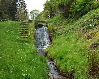 Erlenbach (Speyerbach) river in the Palatinate Forest, Germany