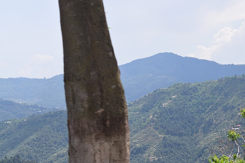 File:A glance from window of bus 04.jpg