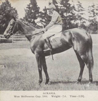 <span class="mw-page-title-main">Acrasia (horse)</span> Australian-bred Thoroughbred racehorse