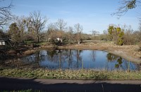 Aken, carp pond (02) .jpg