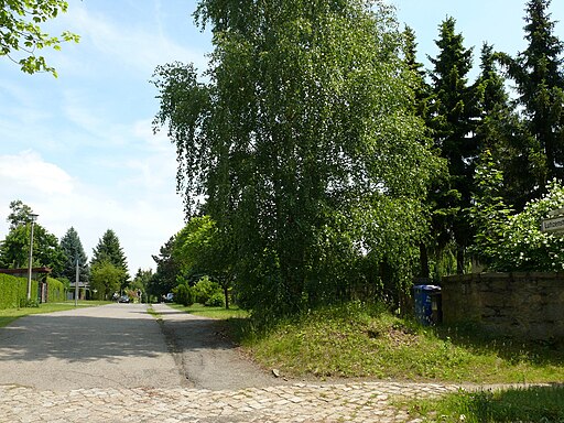 Altglienicke Lutizenstraße