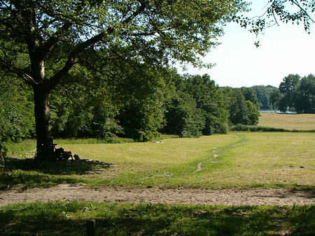 Amsterdamse bos heuvel