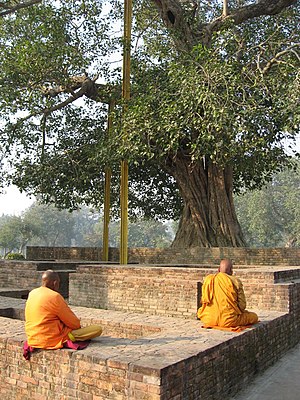 Vipassana: Etymologie, Historische Entwicklung, Buddhistische Achtsamkeitspraxis