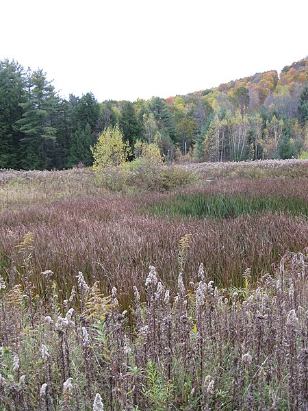 File:Aquaterra Park - Binghamton, New York - 4037013472.jpg