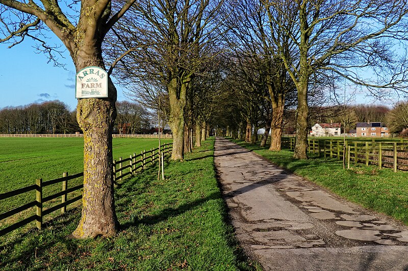 File:Arras Farm Avenue in winter - geograph.org.uk - 6023242.jpg