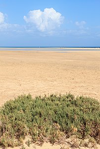 Playa Risco del Paso Fuertevetura