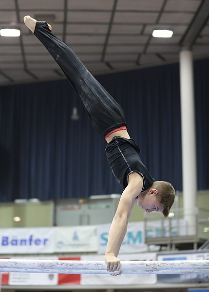 File:Austrian Future Cup 2018-11-23 Training Afternoon Parallel bars (Martin Rulsch) 0256.jpg