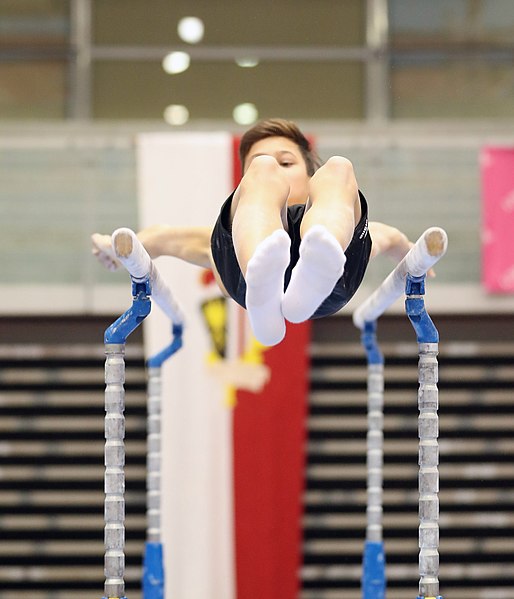 File:Austrian Future Cup 2018-11-23 Training Afternoon Parallel bars (Martin Rulsch) 0568.jpg