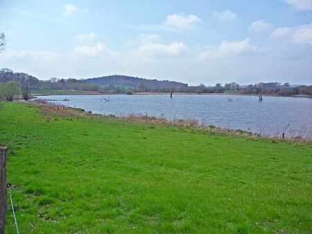 Bäume im Klenzauer See