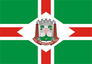 Vlag van São Bento do Sul