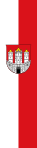 Salzburg zászlaja