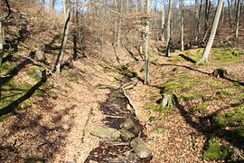 Nordöstlicher Zulauf des Sees