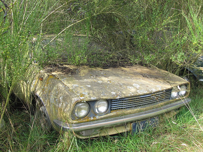 File:Battered Beige Beauty. (6984140997).jpg