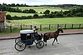 Horse drawn vehicles