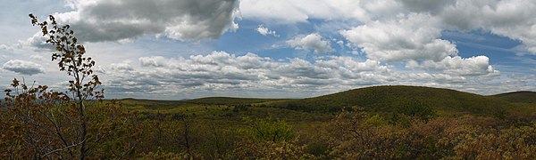 A panorama off a side of Bear Mountain.