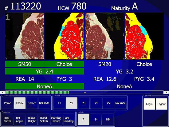 A screenshot from the electronic grading system showing USDA Choice, Yield Grade 2 beef. The left is the natural color view of the cut; the right is the instrument enhanced view that details the amount of marbling, size, and fat thickness.