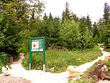 zweisprachiger Lehrpfad „Bergwaldgarten Auersberg“