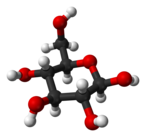 From left to right: Haworth projections and ball-and-stick structures of the α- and β- anomers of D-glucopyranose (top row) and D-glucofuranose (bottom row)