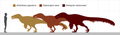 A Utahraptor, két rokon faj és az ember méretének összehasonlítása