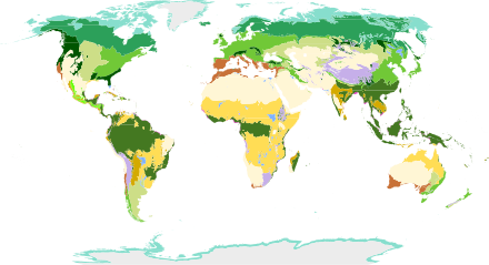 Terrestrial biomes of the world according to Olson et al. and used by the WWF and Global 200. Biomes of the world.svg
