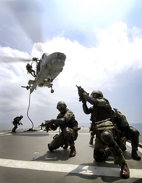 File:Brazilian navy visit, board, search and seizure (VBSS) team.jpg