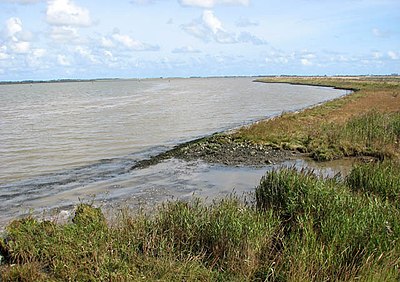 Breydon Wasser