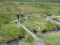 wikimedia_commons=File:Bridge over Bullfell Beck - geograph.org.uk - 2036554.jpg