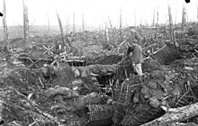Forest of Argonne in October 1915 ravaged by shellfire. Bundesarchiv Bild 104-0152, Argonnen, zerschossener Wald, Stellung.jpg