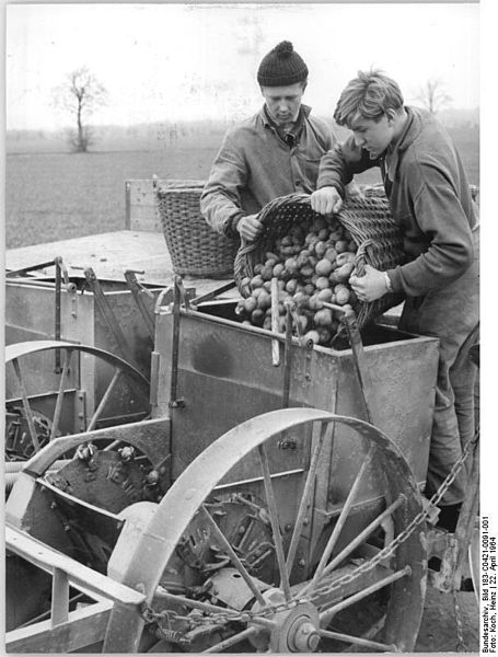 File:Bundesarchiv Bild 183-C0421-0091-001, Canitz, Vorbereitung des Kartoffellegens.jpg